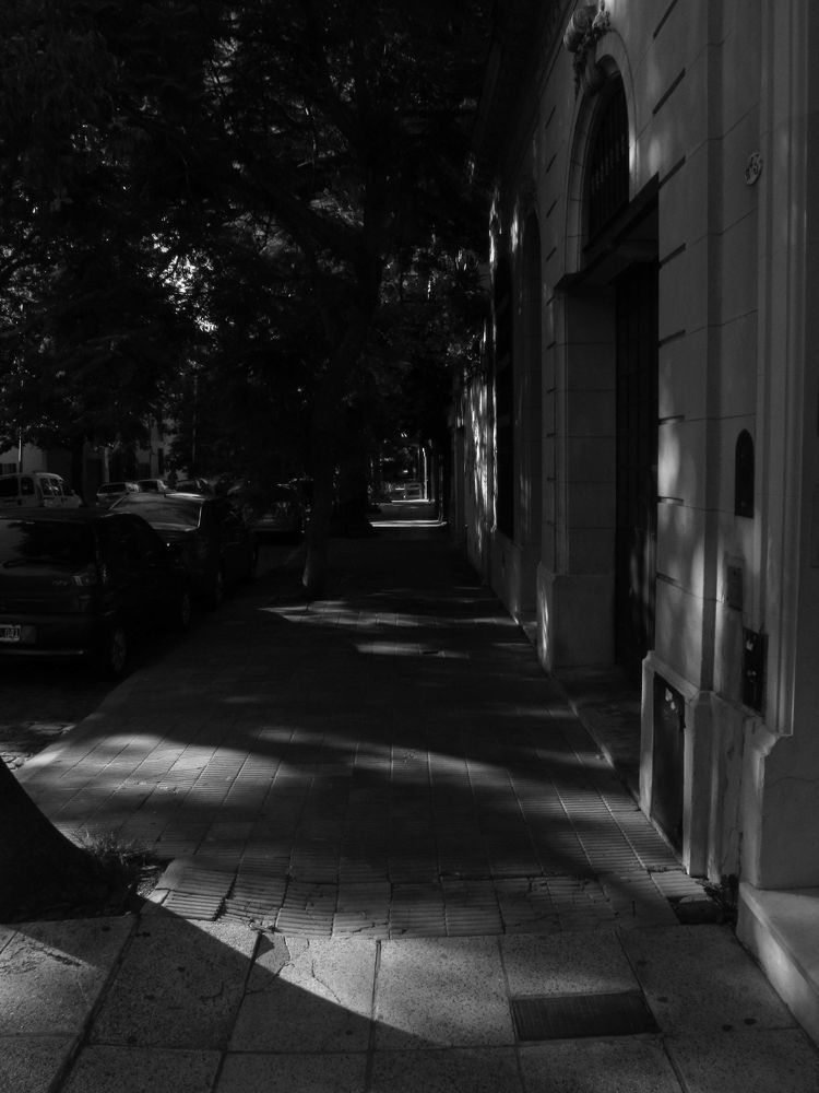 Фотография автора Ileana Andrea Gavinoser