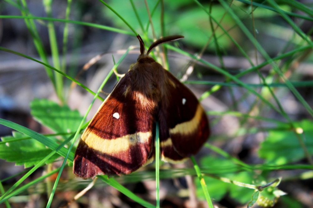 Photograph by Татьяна Фоевцева