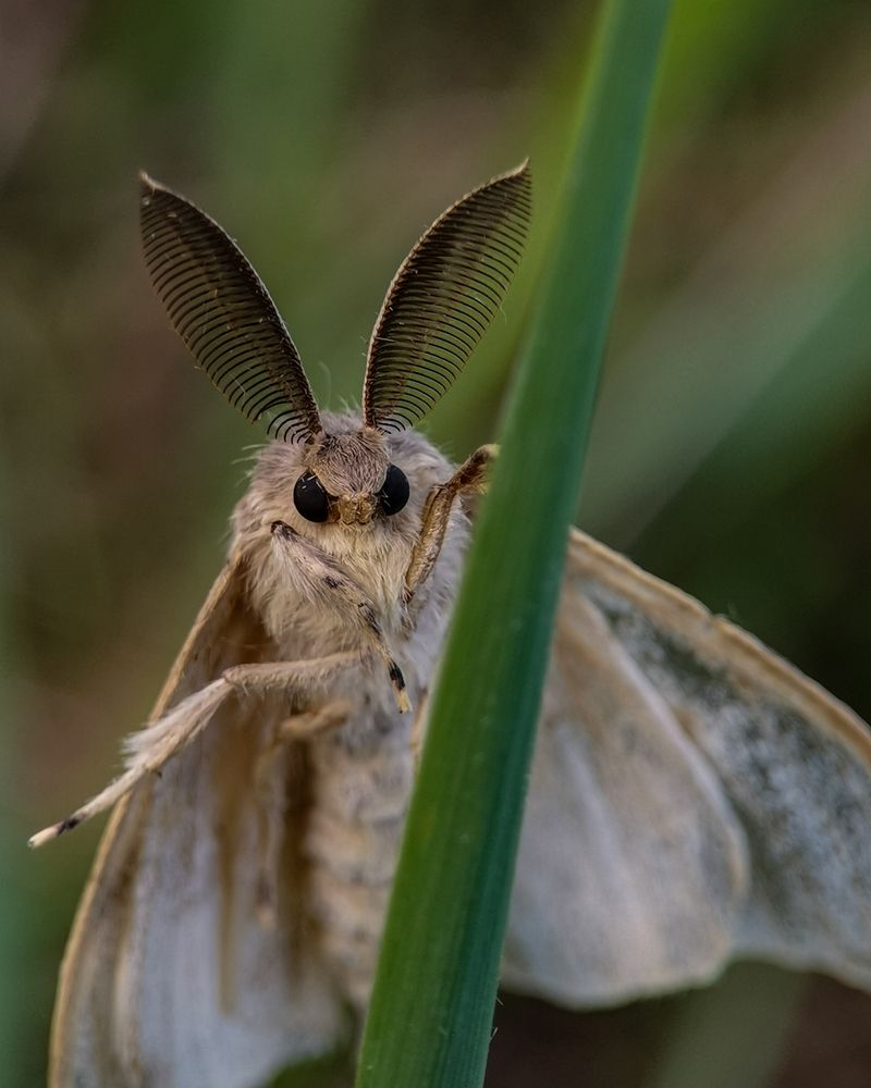 Photograph by Наталья Балабанова