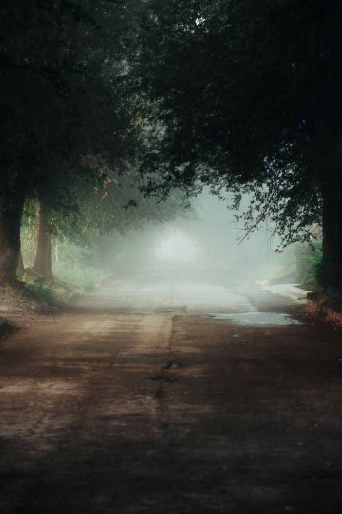 Photograph by Василий Николаев