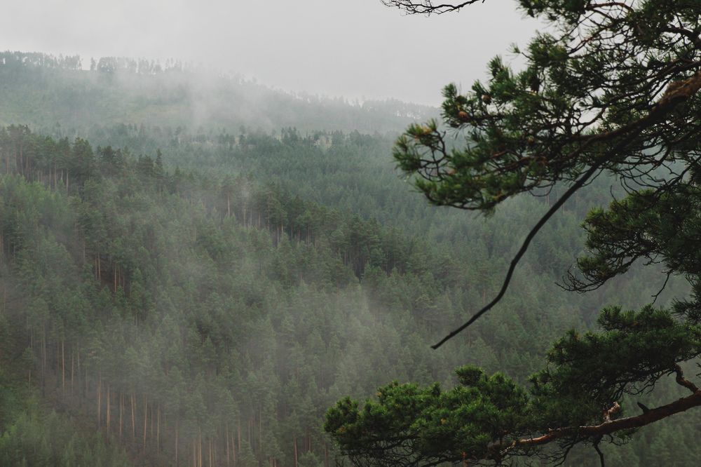 Photograph by Светлана Шелухеева