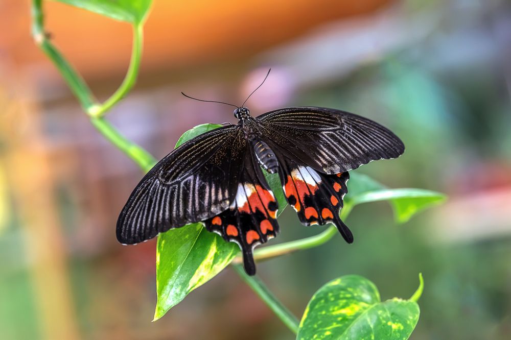Фотография автора Сергей Газизов