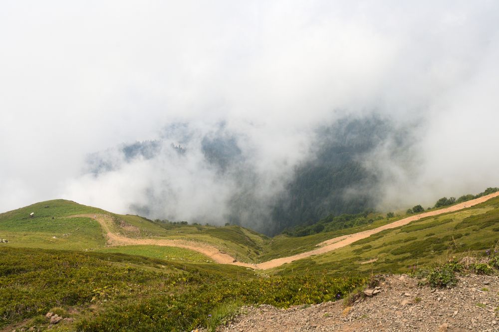 Photograph by LEONID DUBINA