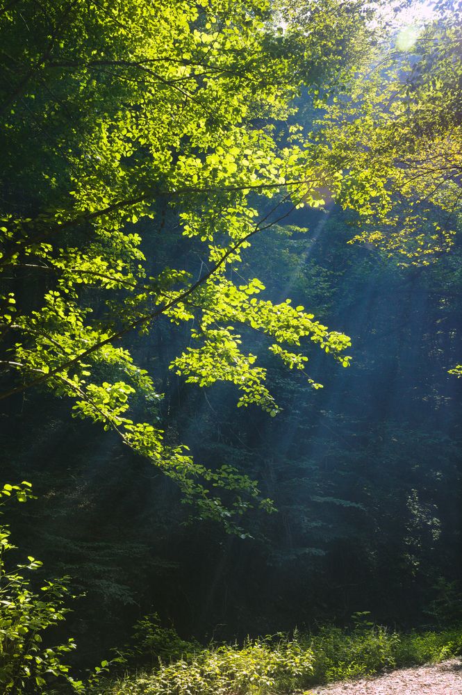 Photograph by LEONID DUBINA