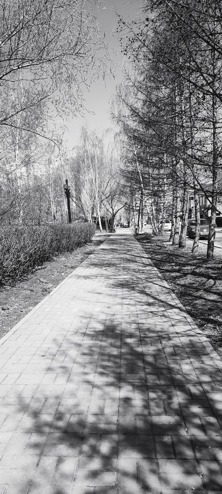 Photograph by Надежда