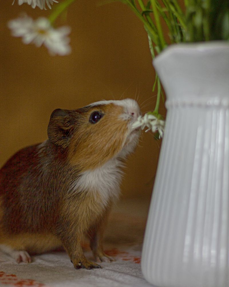 Photograph by Нина Сучкова