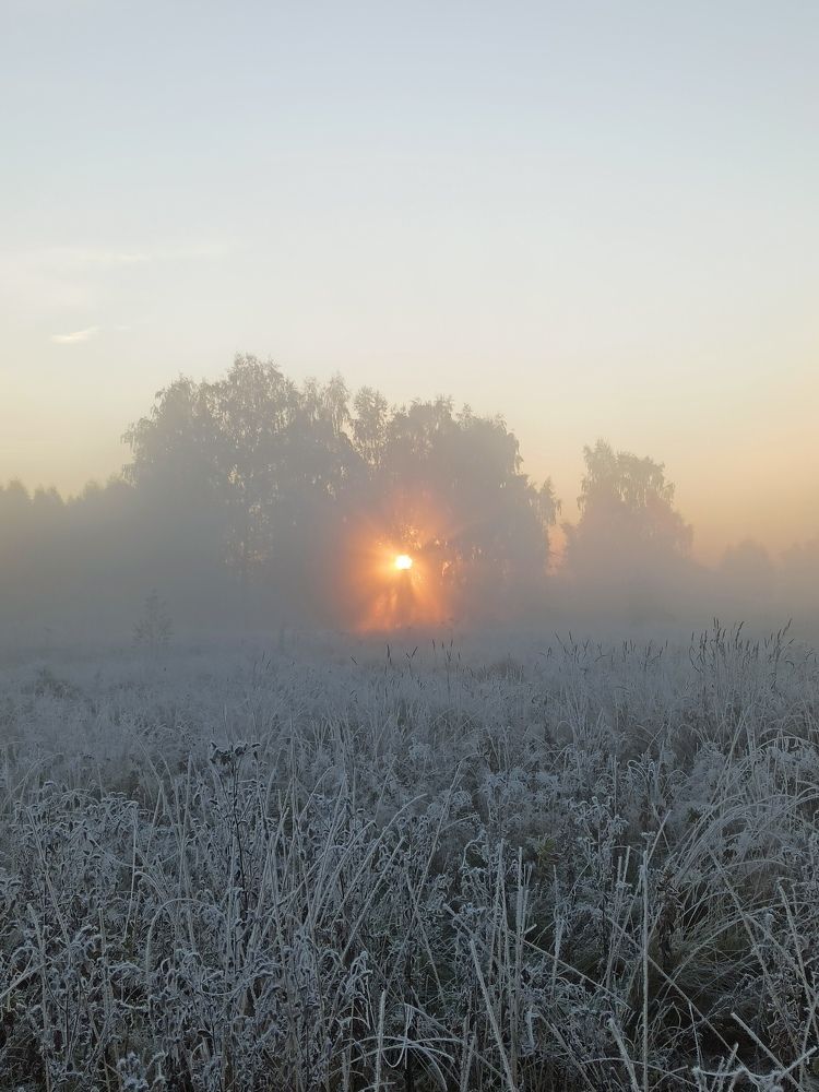 Photograph by Eлена Смирнова