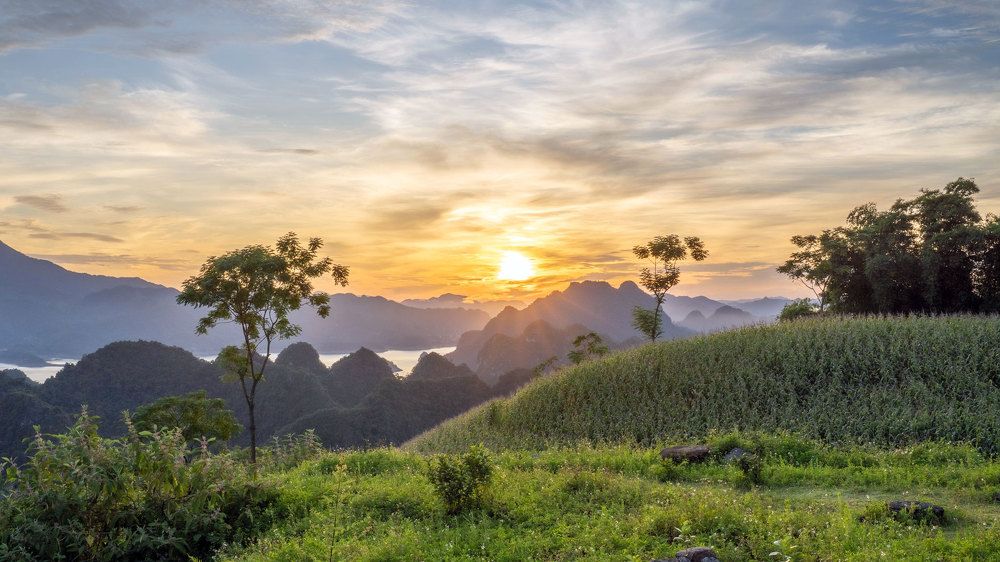 Bình minh Mai Châu