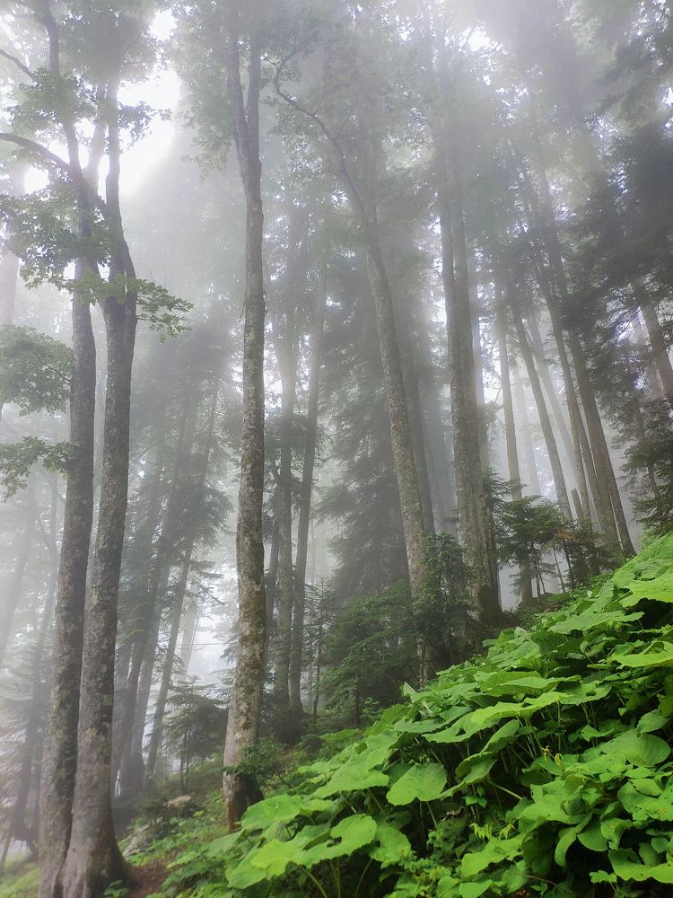 Photograph by Альбина Закирова