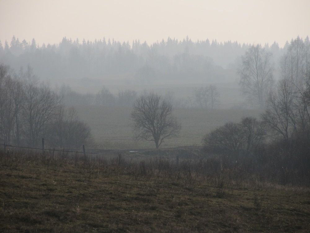 Photograph by Ольга Сафронова