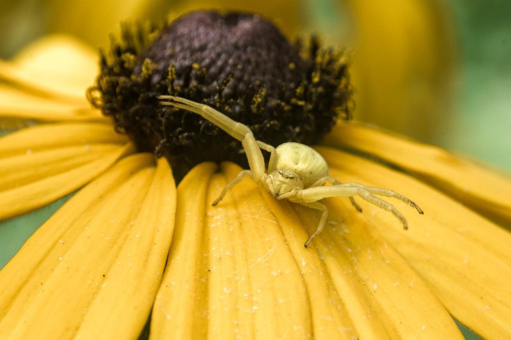 Photograph by Людмила Прибылова