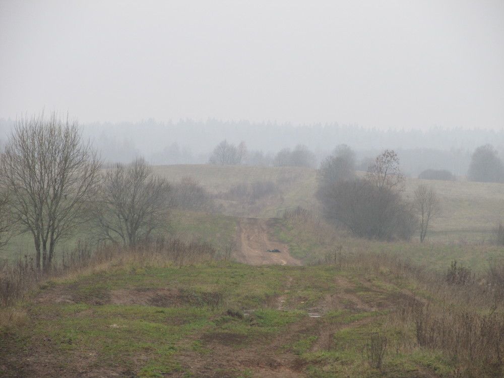 Photograph by Ольга Сафронова