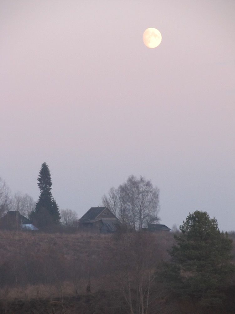 Photograph by Ольга Сафронова