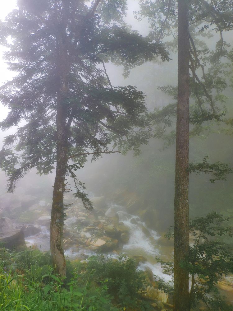 Photograph by Альбина Закирова