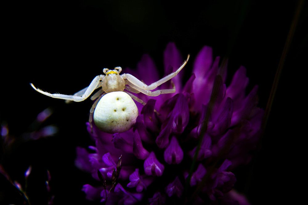 Фотография автора Ирина Гриценко