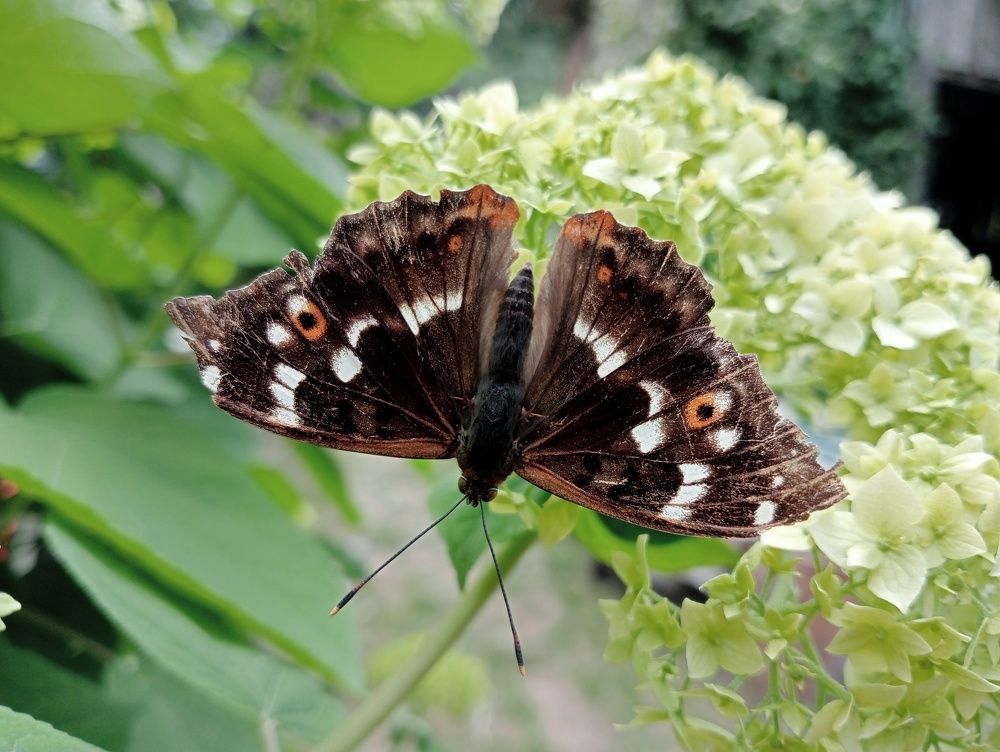 Photograph by Светлана