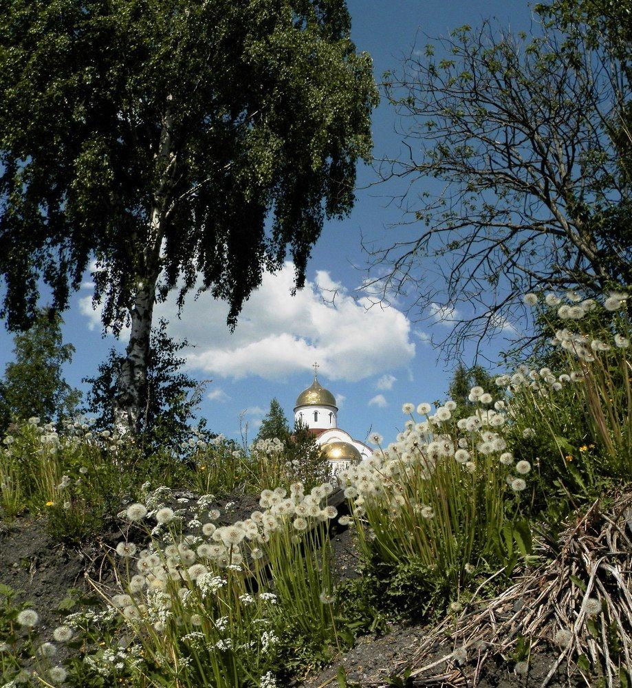 Photograph by Цветков Владимир