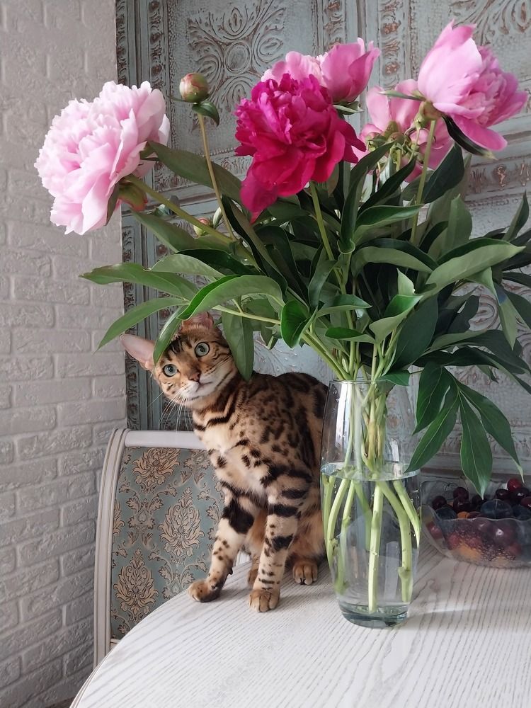 Photograph by Юлия Фирман