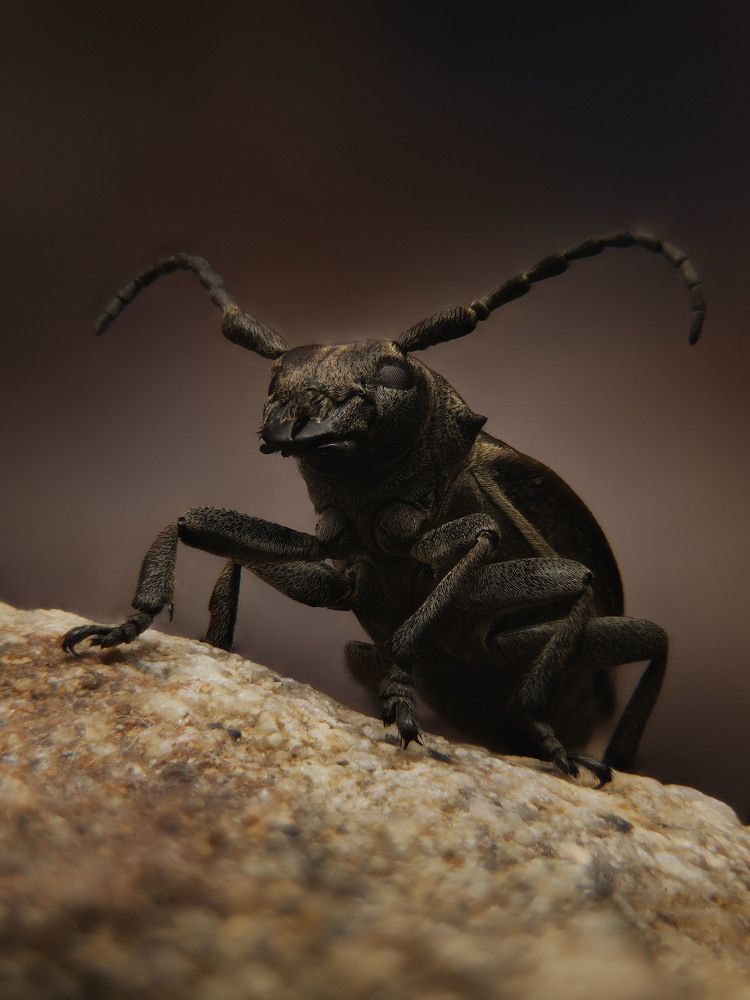 Photograph by Юрий Юрьевич