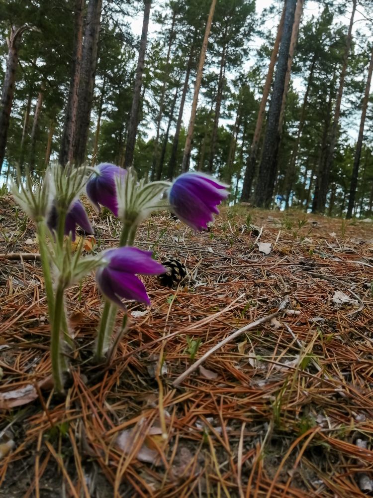 Photograph by Ксения