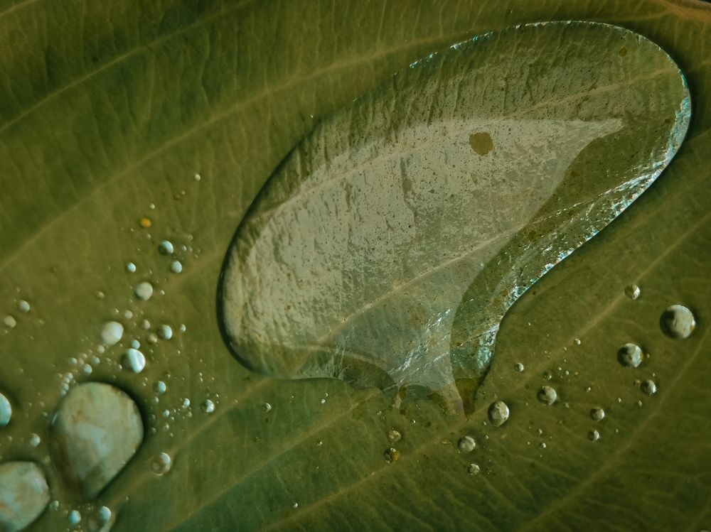 Photograph by Ольга Власова