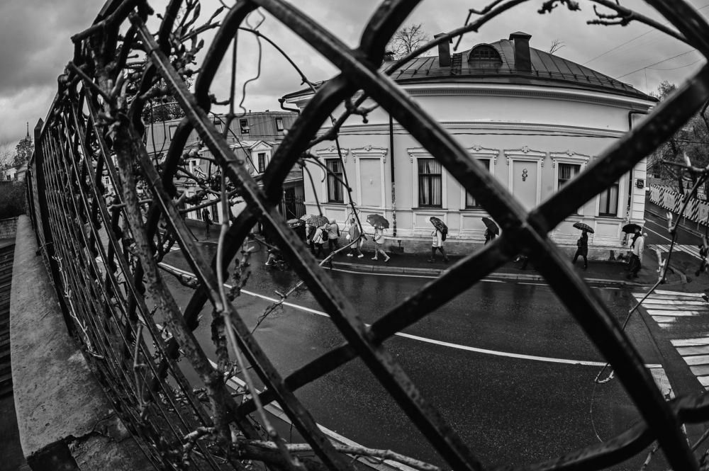 Photograph by Денис Олейников