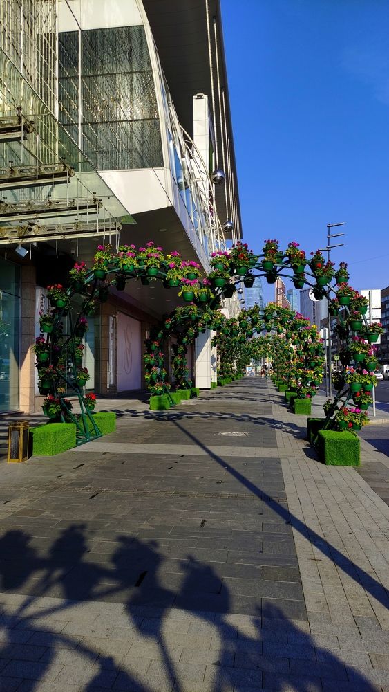 Фотография автора Васильева Ирина