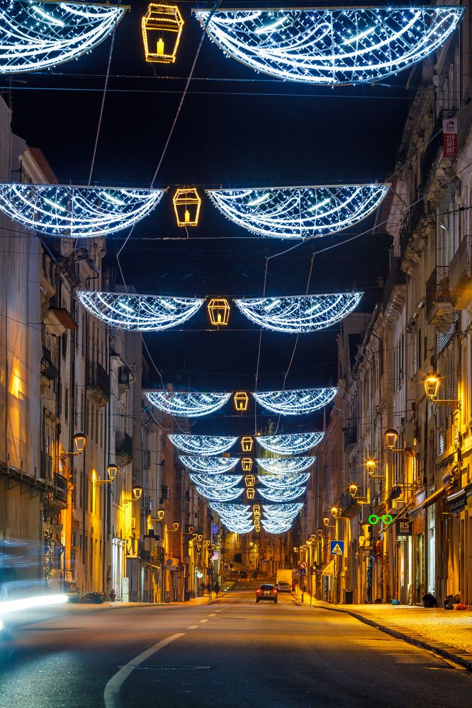 Фотография автора Coimbra Zonov