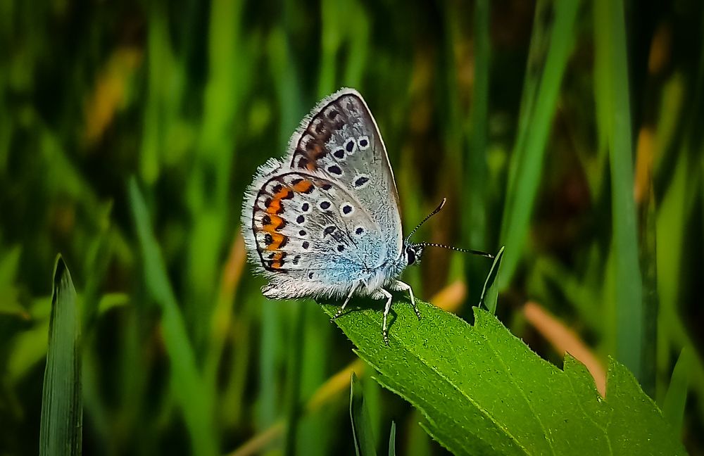 Photograph by Александр Труфанов