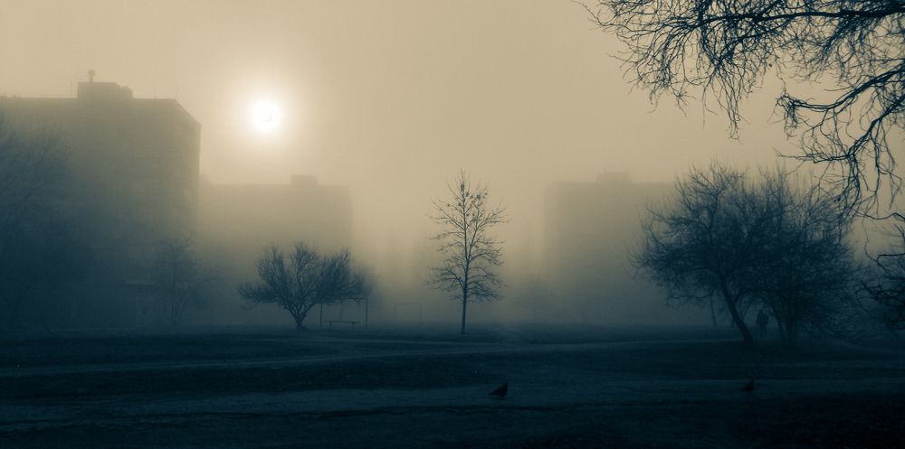 Photograph by Александр Труфанов