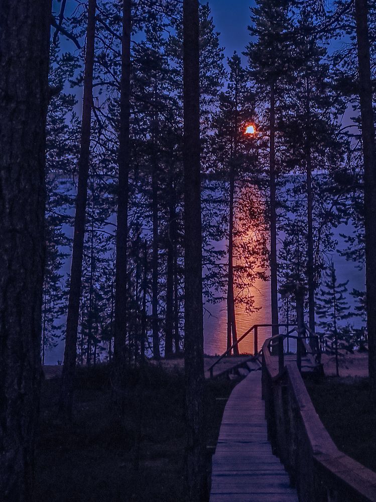 Фотография автора Alexander Gordon