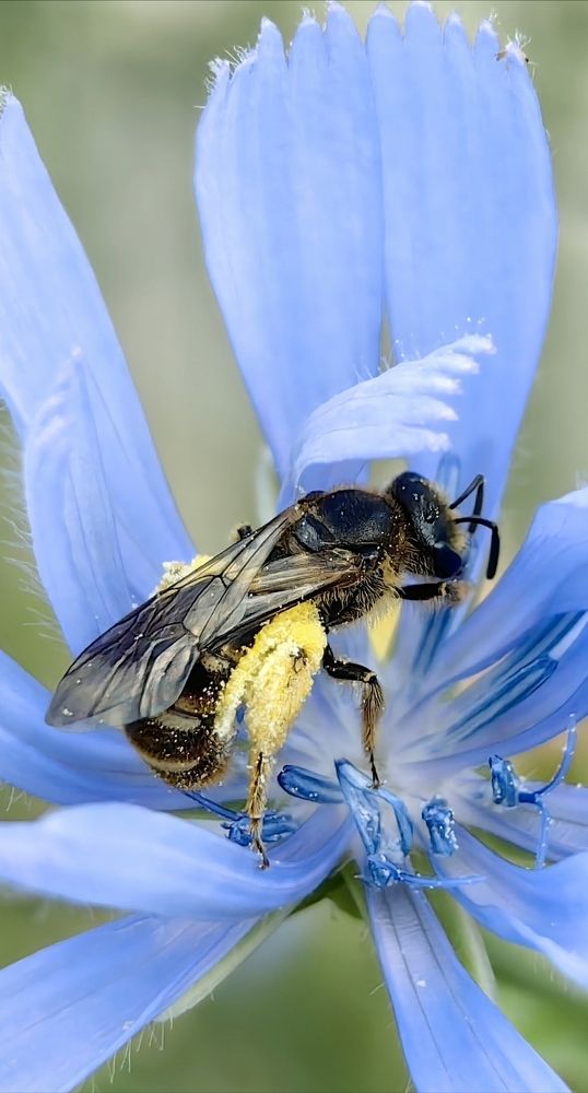 Photograph by Ирина