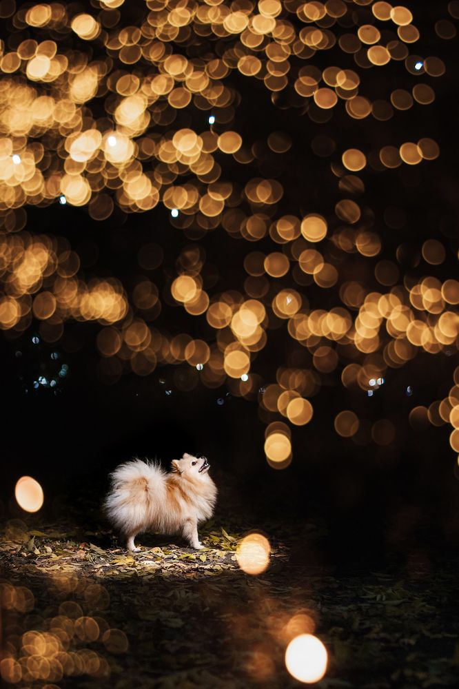 Photograph by Людмила Манохина