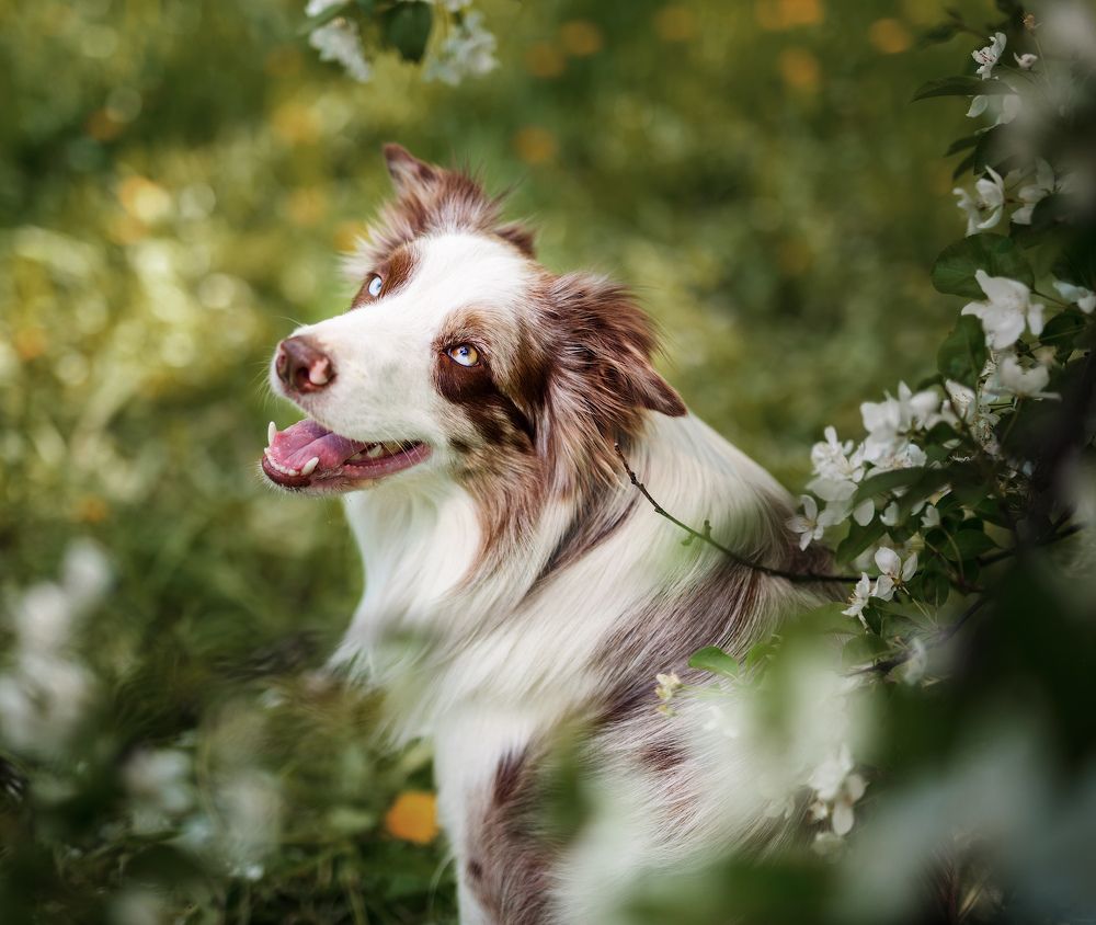 Photograph by Людмила Манохина