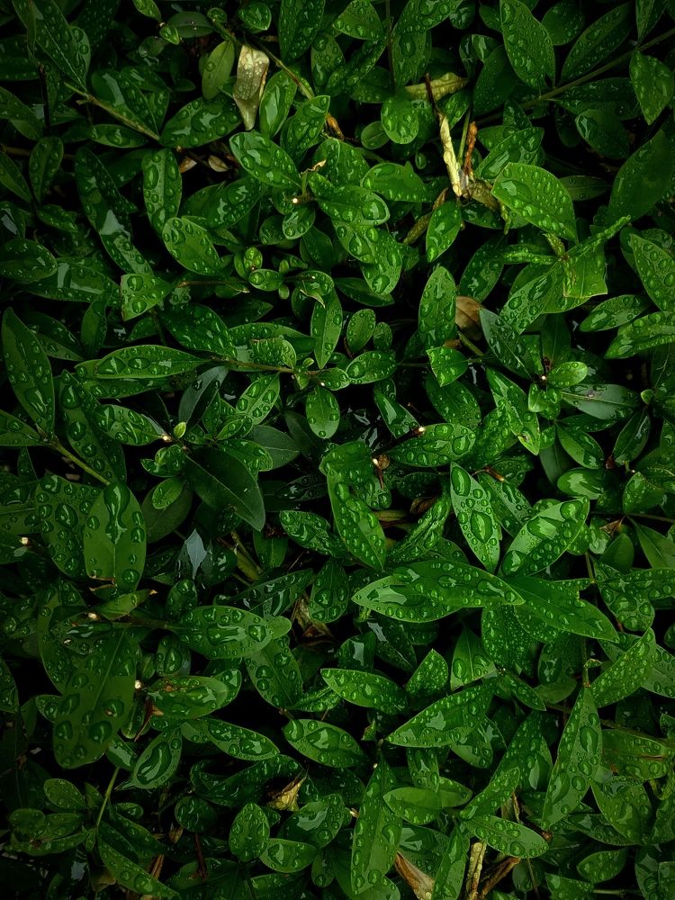 Photograph by Ирина Половцева