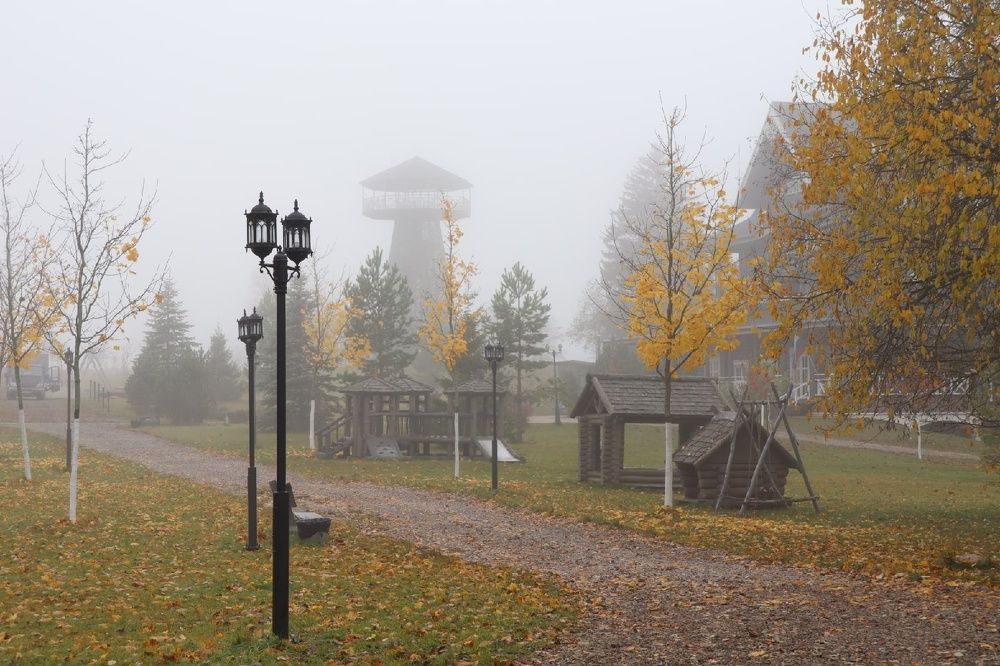 Photograph by Дарья