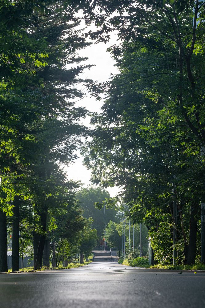 Photograph by Николай Цой