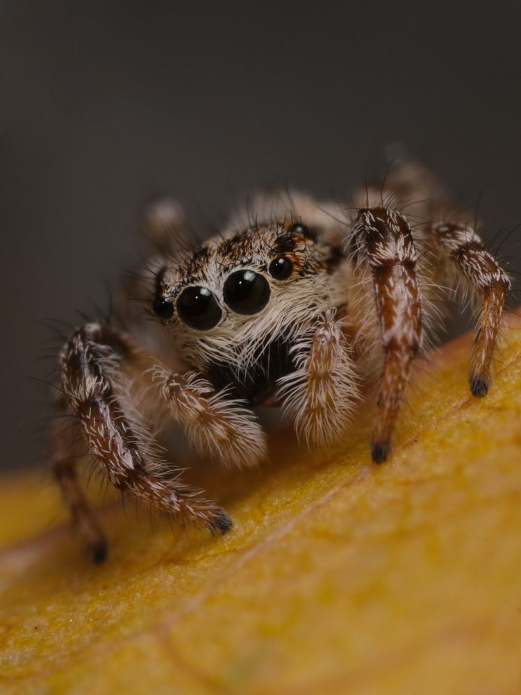 Photograph by Юрий Юрьевич