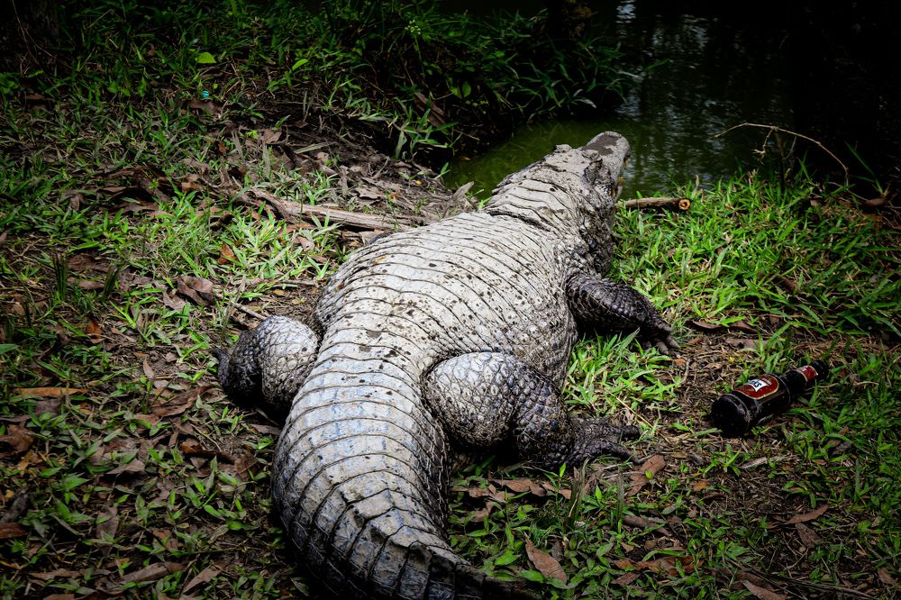 Photograph by Anuja Singh