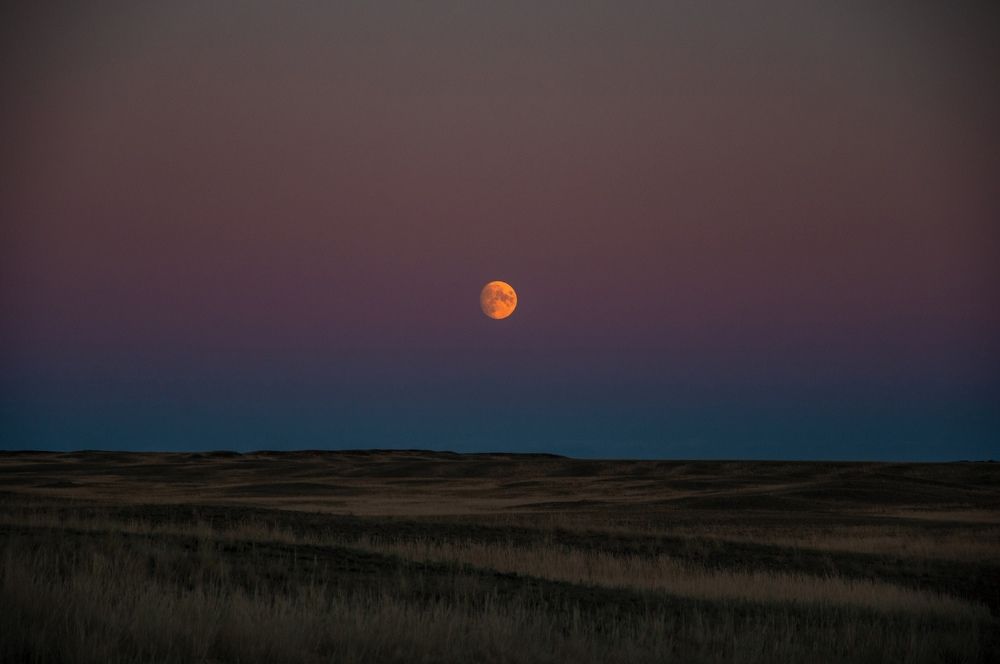 Фотография автора Антонов Антон