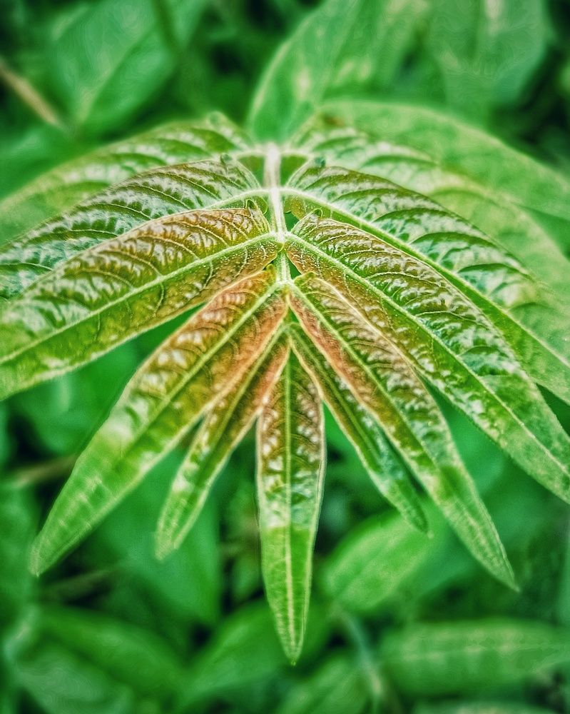 Фотография автора Bgs Zsolt