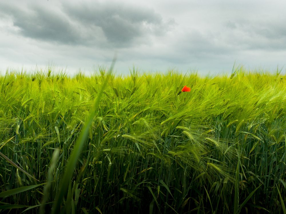 Photograph by Сергей Бирюков