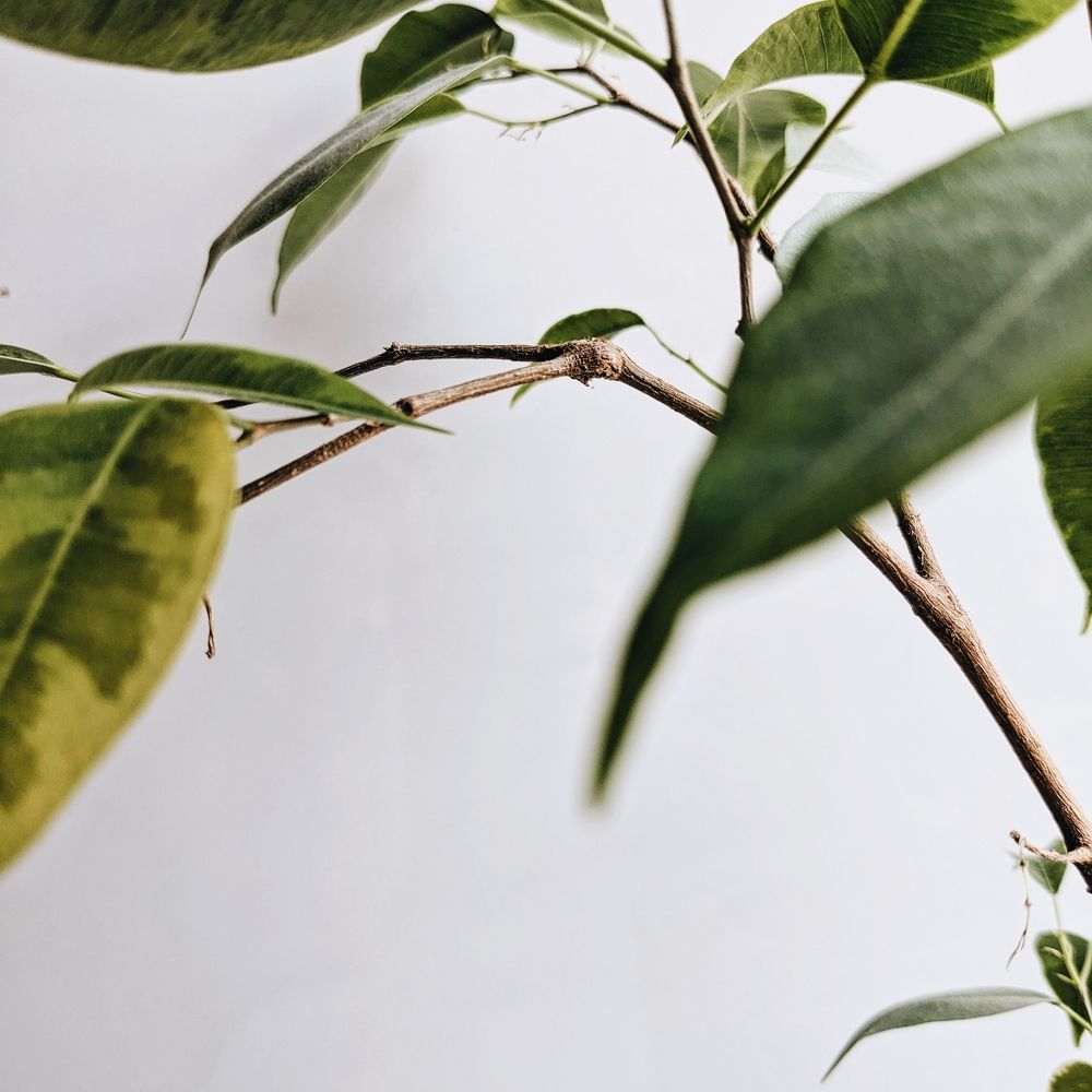 Photograph by Татьяна Никифорова