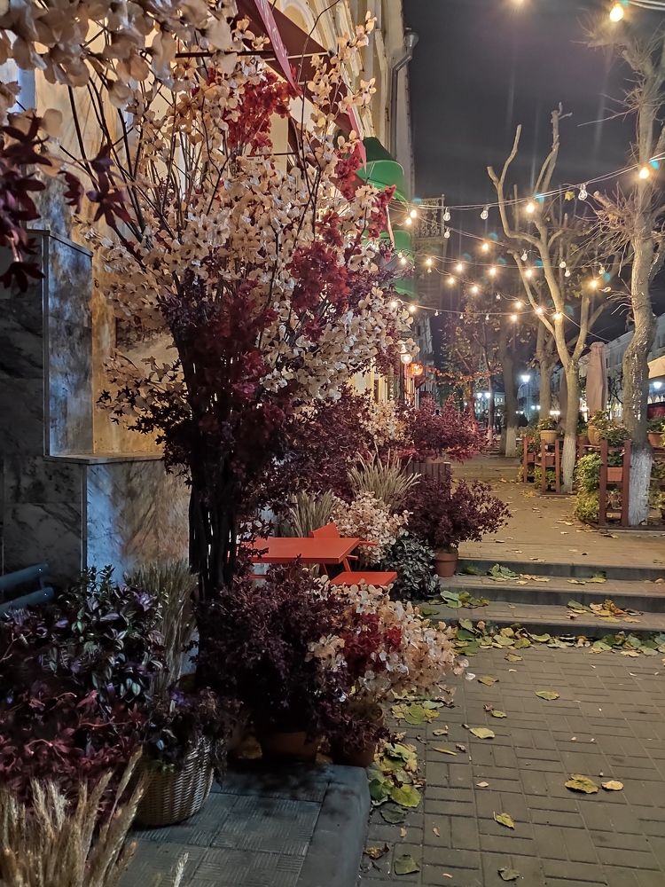 Photograph by Сидорова Ирина