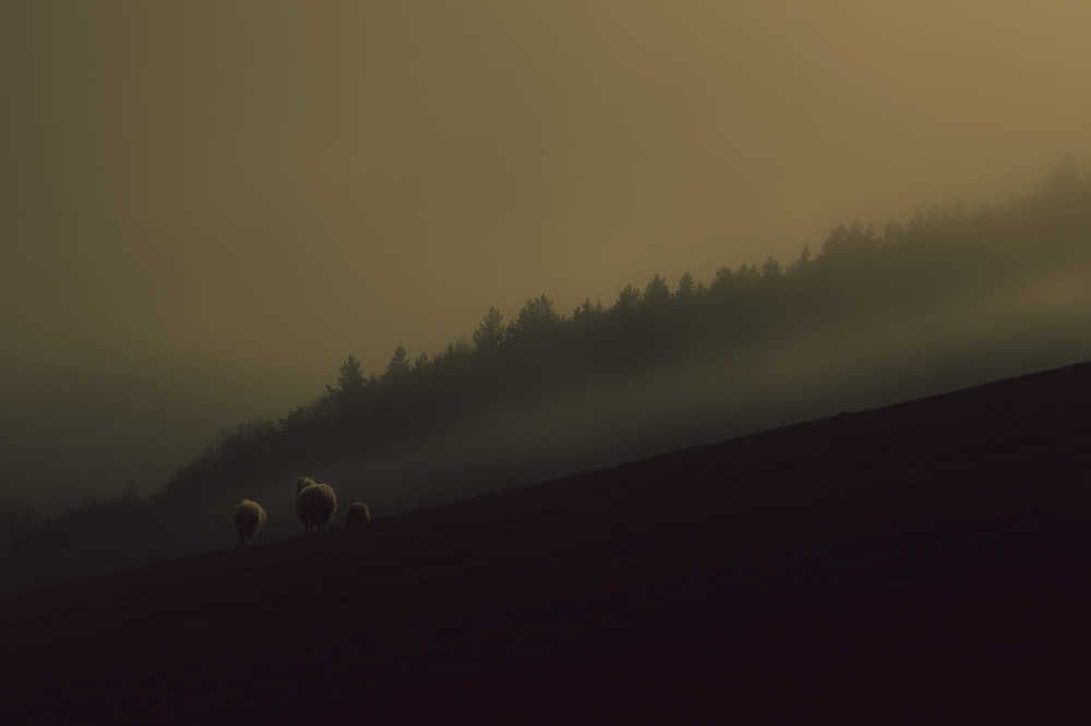 Фотография автора Panagiotis Anastopoulos