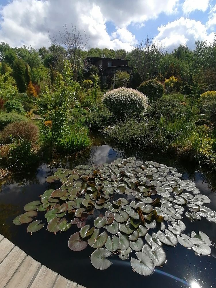 Photograph by Руковицина Ирина