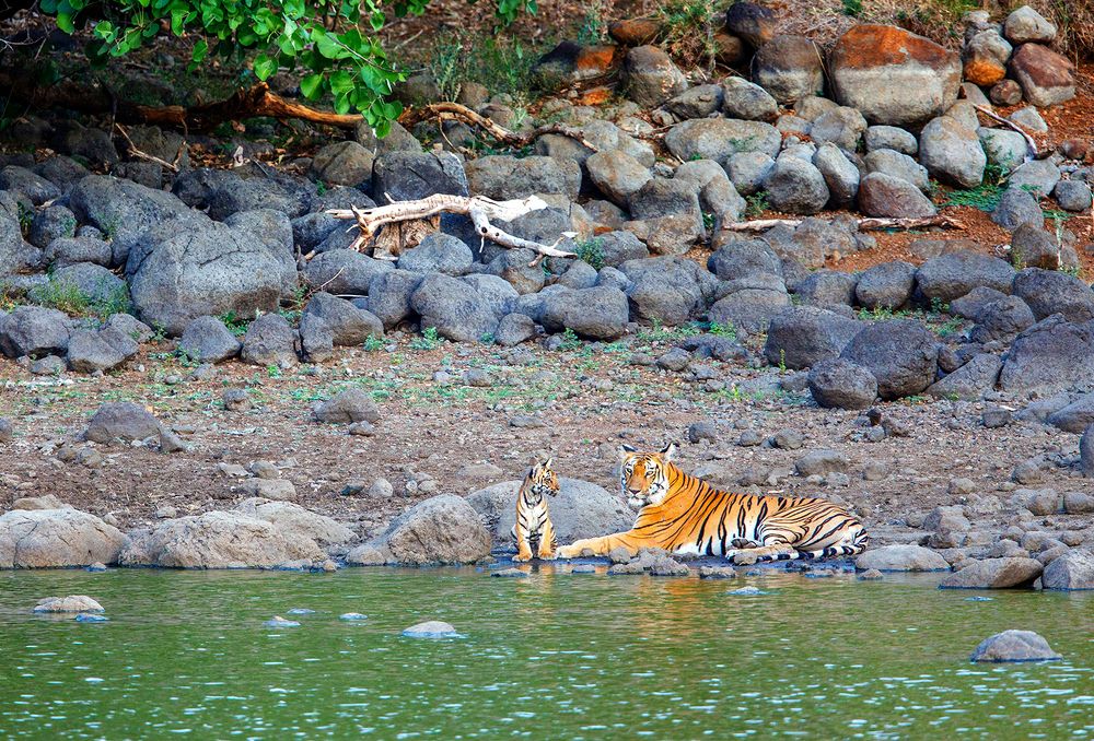 Photograph by Bhanu Kiran Botta