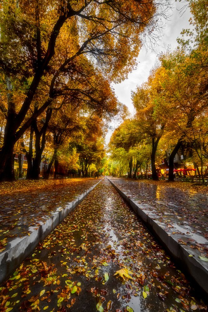 Photograph by Hamid Espanani