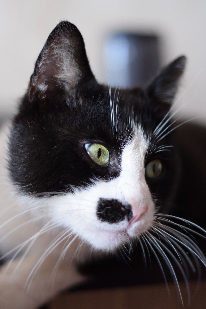 Photograph by Иван Левин