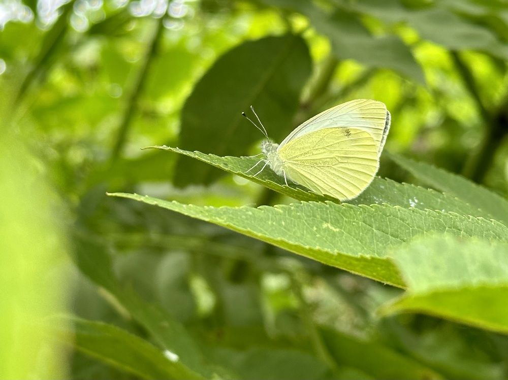Photograph by Анастасия Волошина